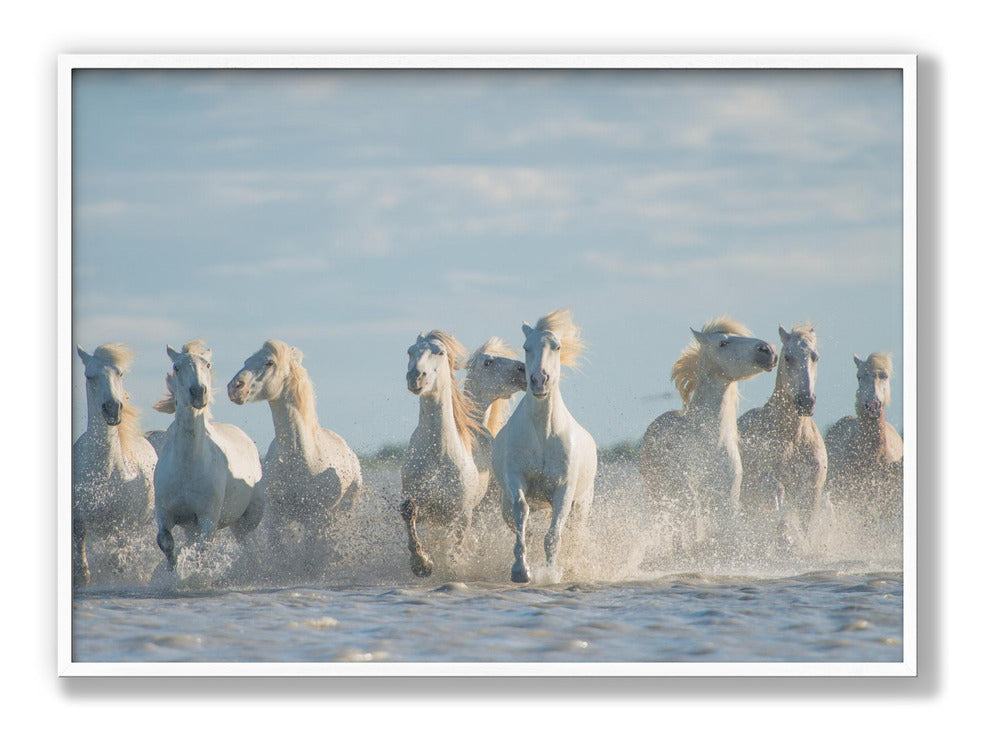 Angels of Camargue