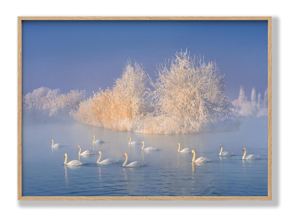 Swan Lake