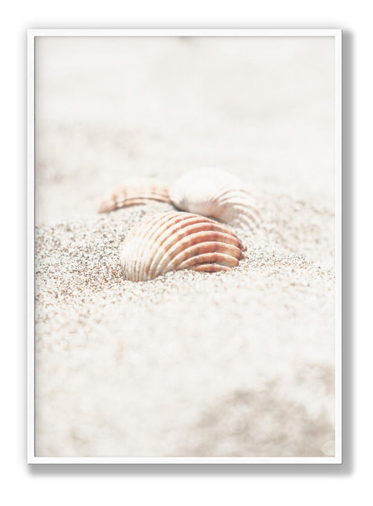 Beach_013