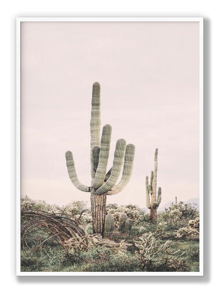 Pink Saguaro