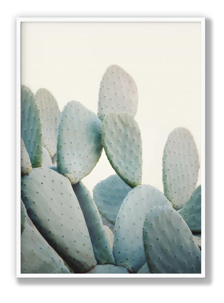 Pastel Cacti