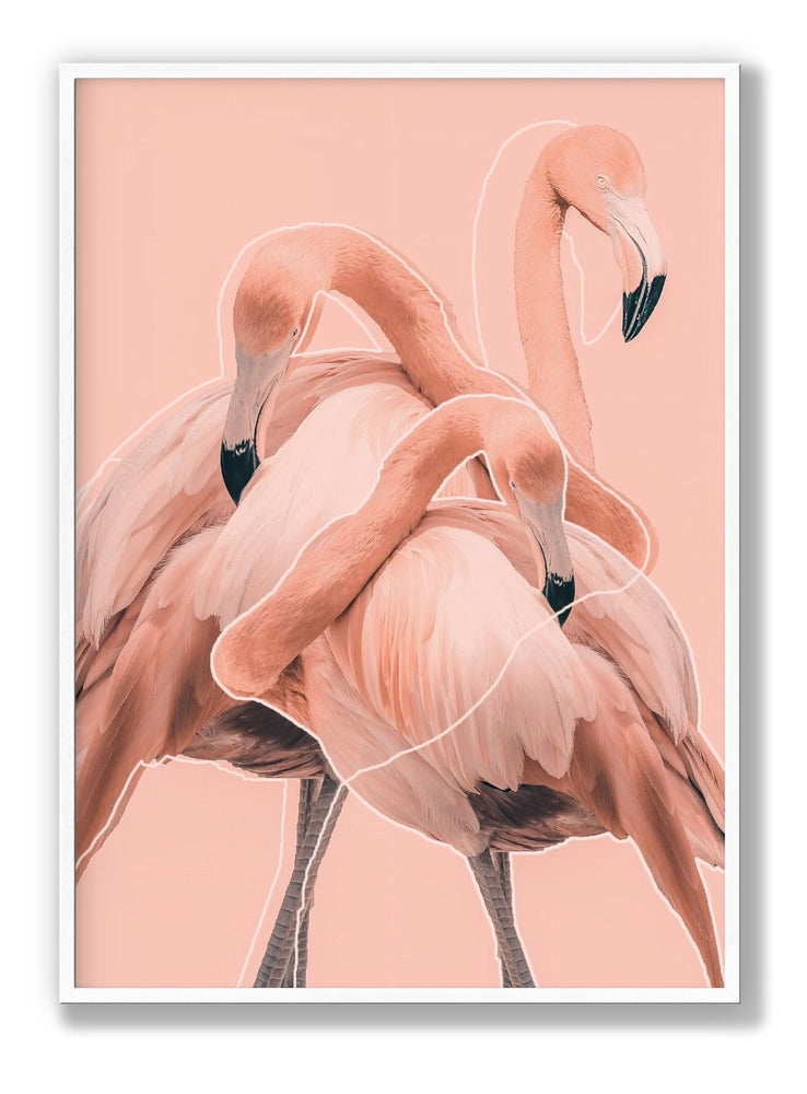 Flamingos nr. 1