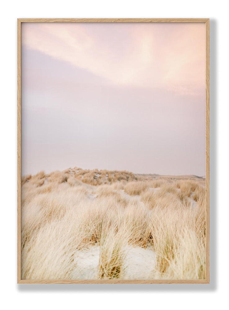 Ameland Dunes 2