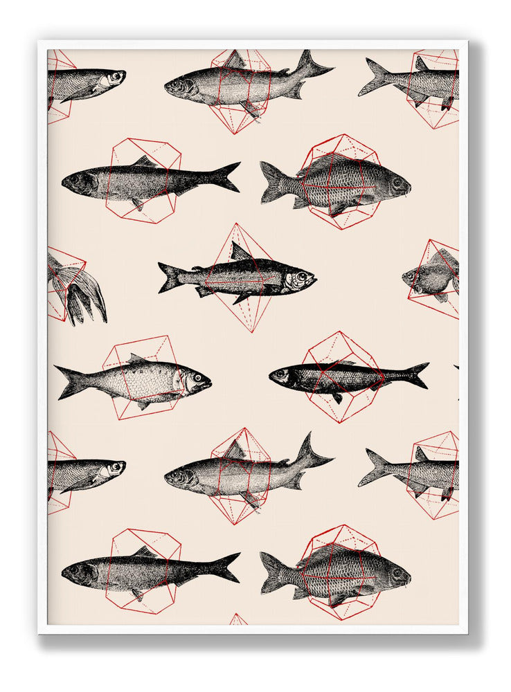 Fishes In Geometrics Nº4