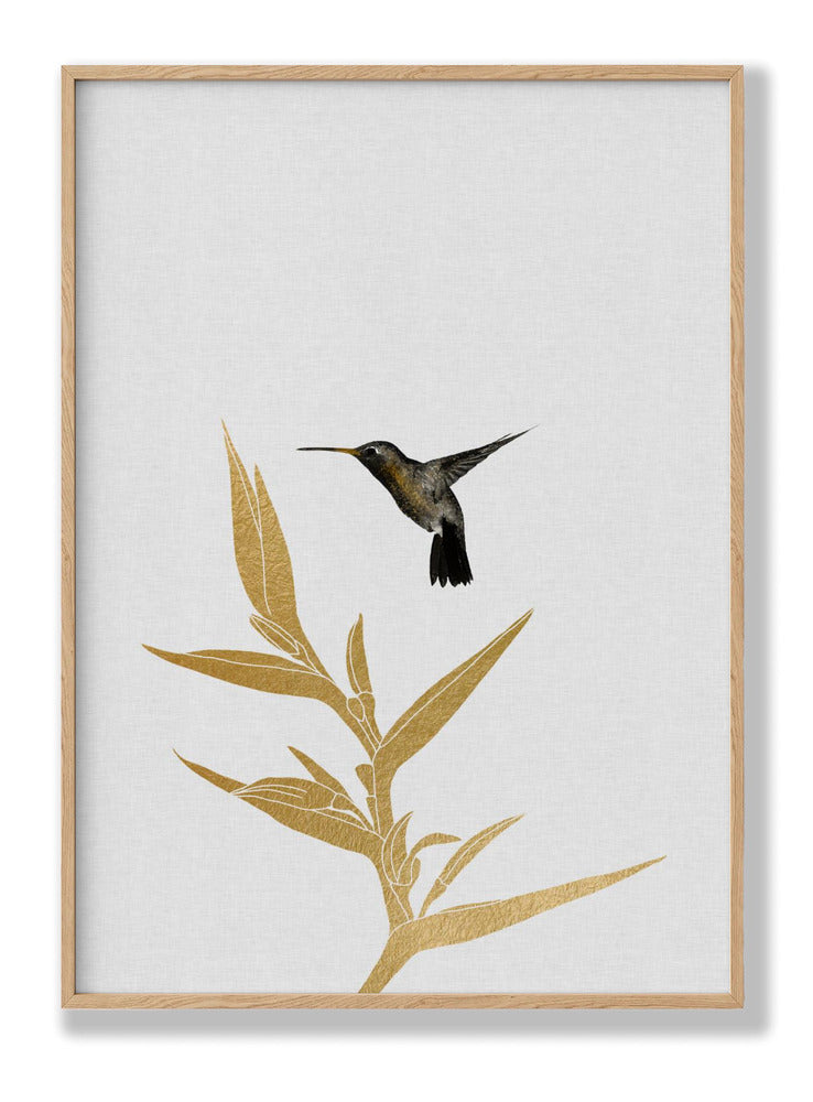 Hummingbird & Flower Ii