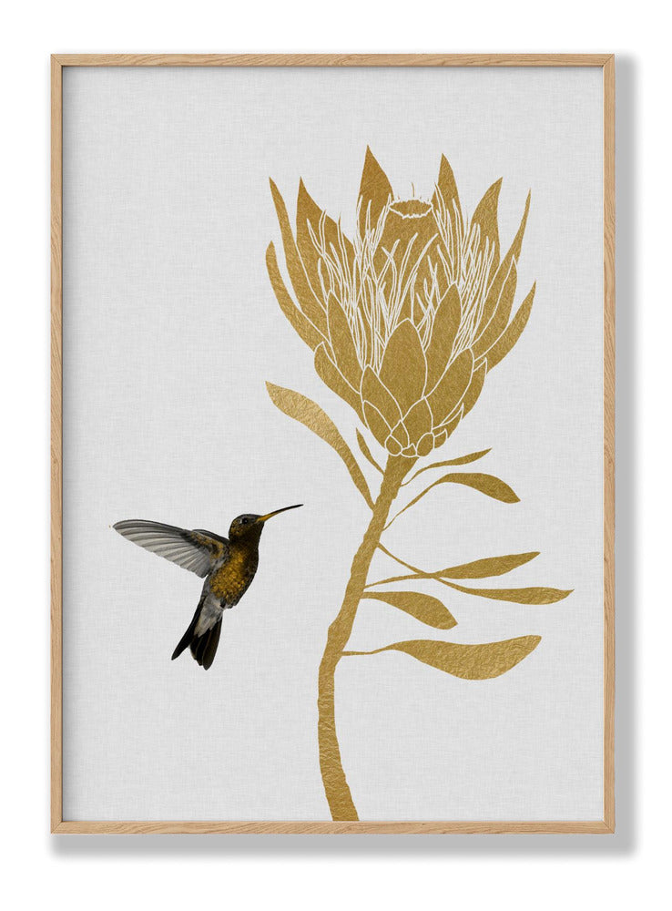 Hummingbird & Flower I