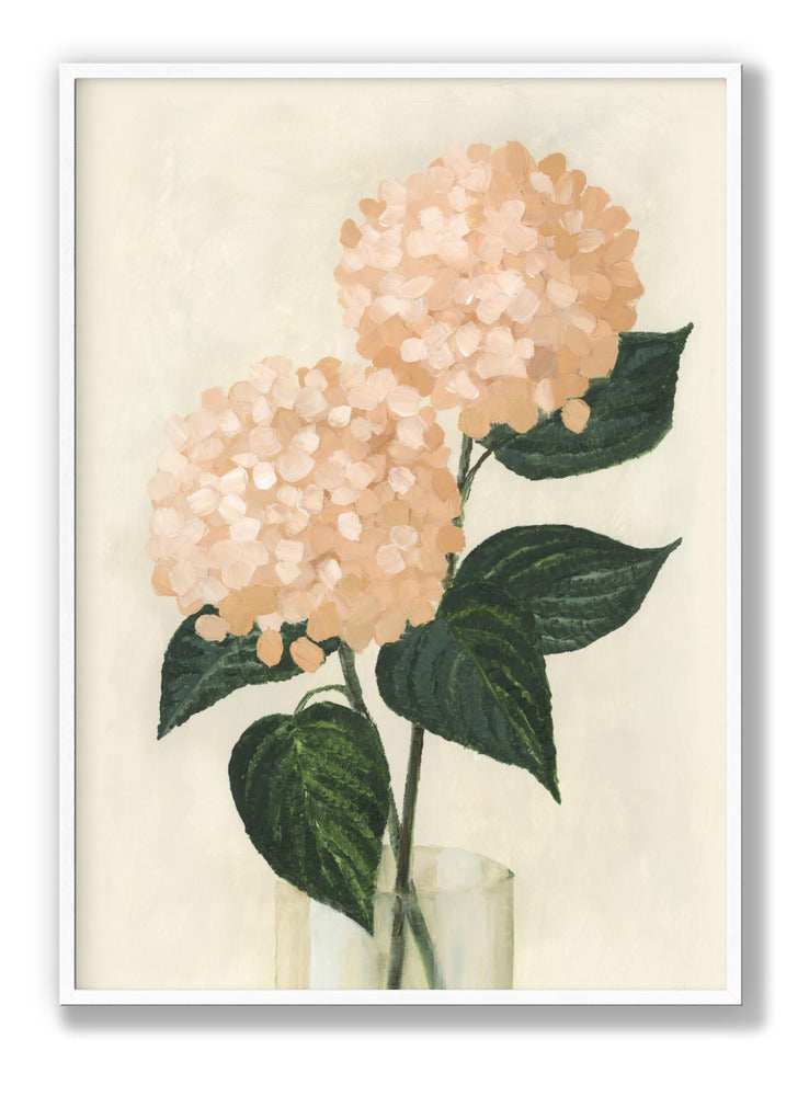 Coral hydrangeas in a vase