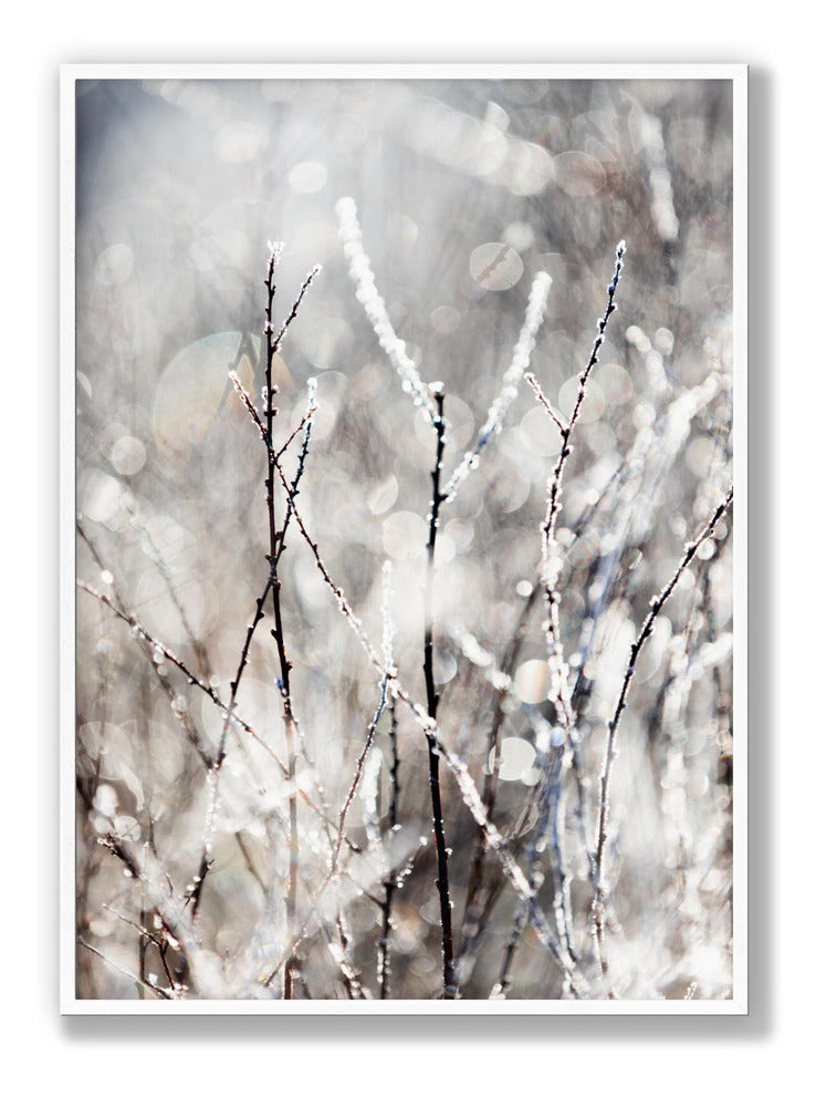 A Winter Morning 4