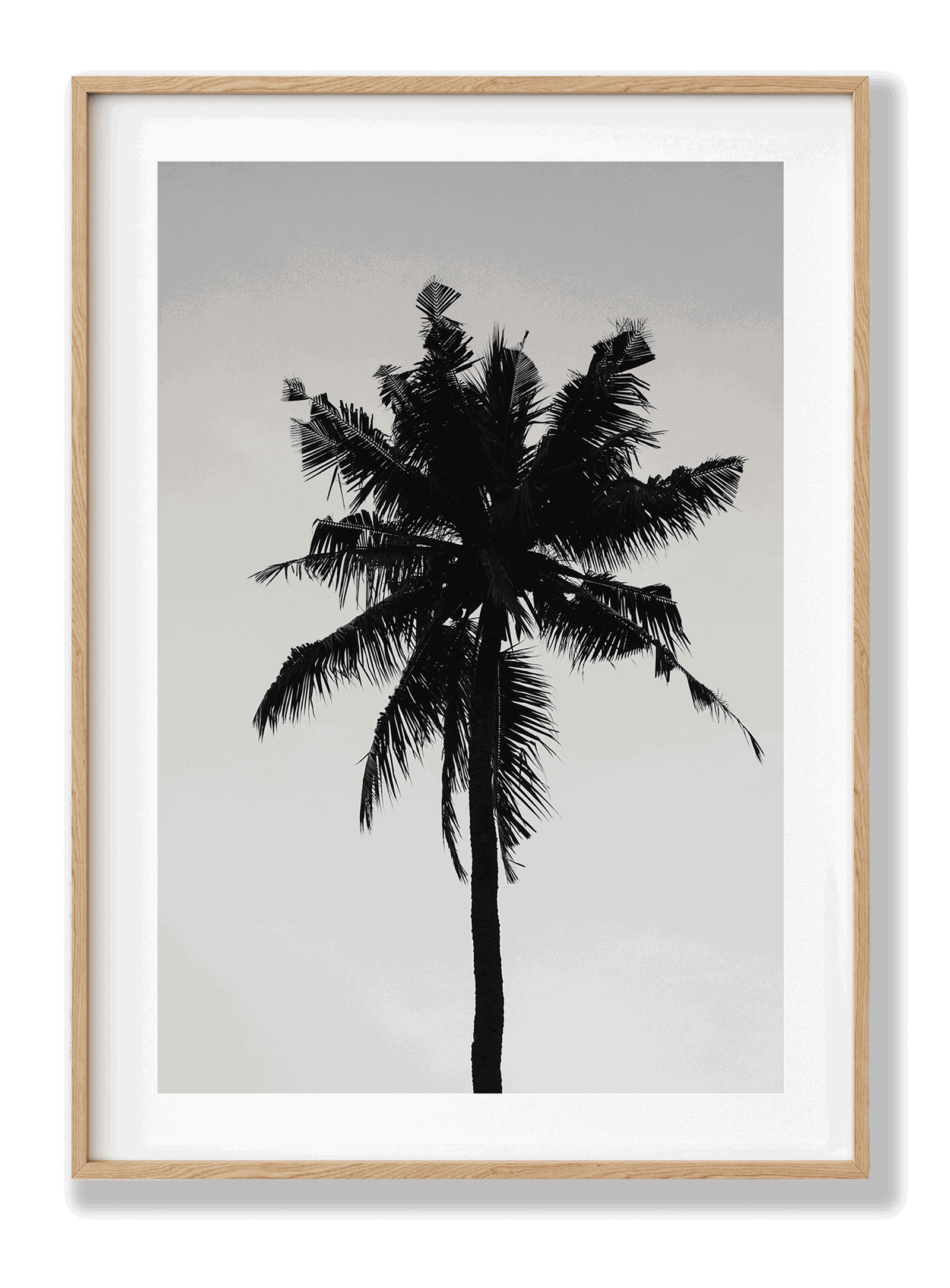 Beach Palm plakat