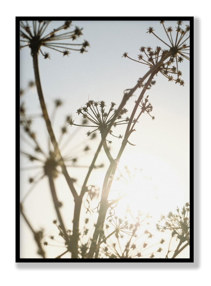 Beach flowers 1 plakat