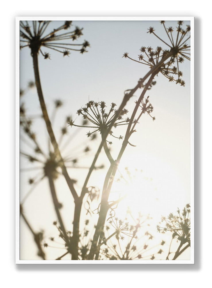 Beach flowers 1 plakat