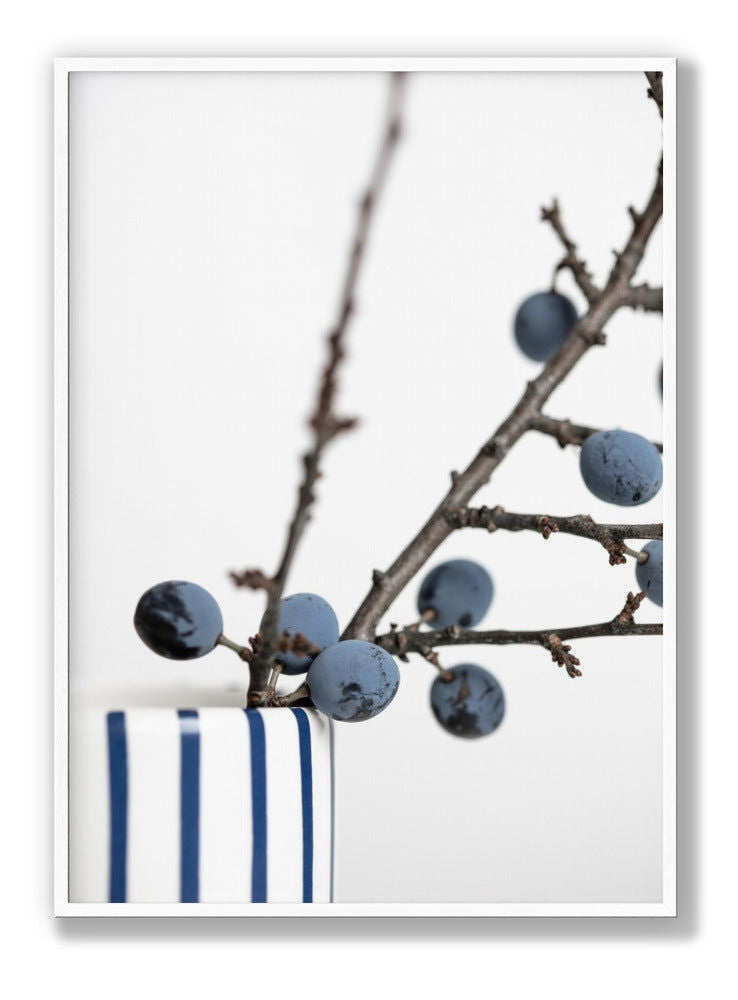 Berries Blue plakat