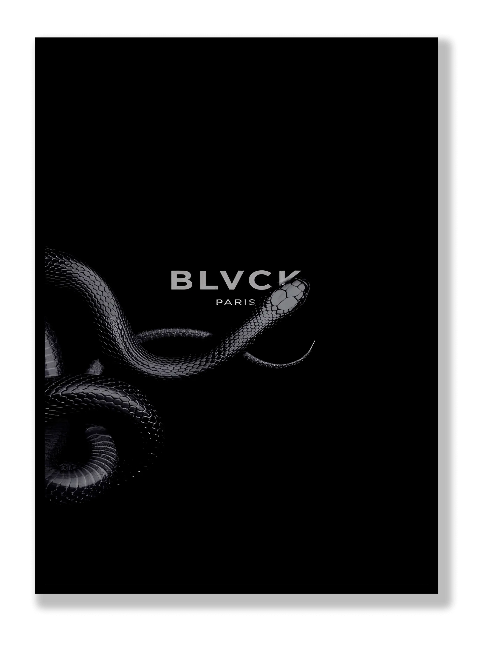 Black Snake plakat