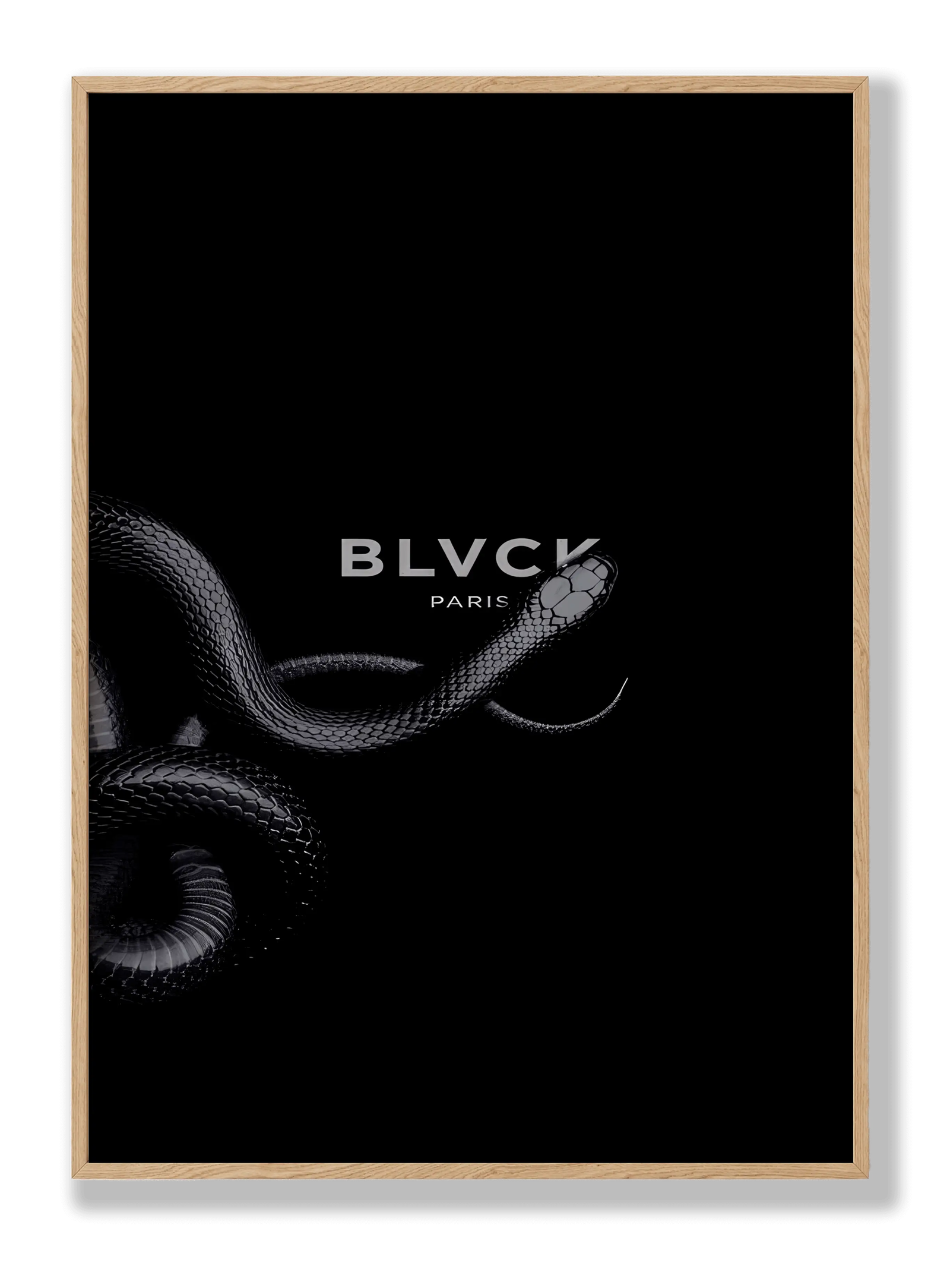 Black Snake plakat