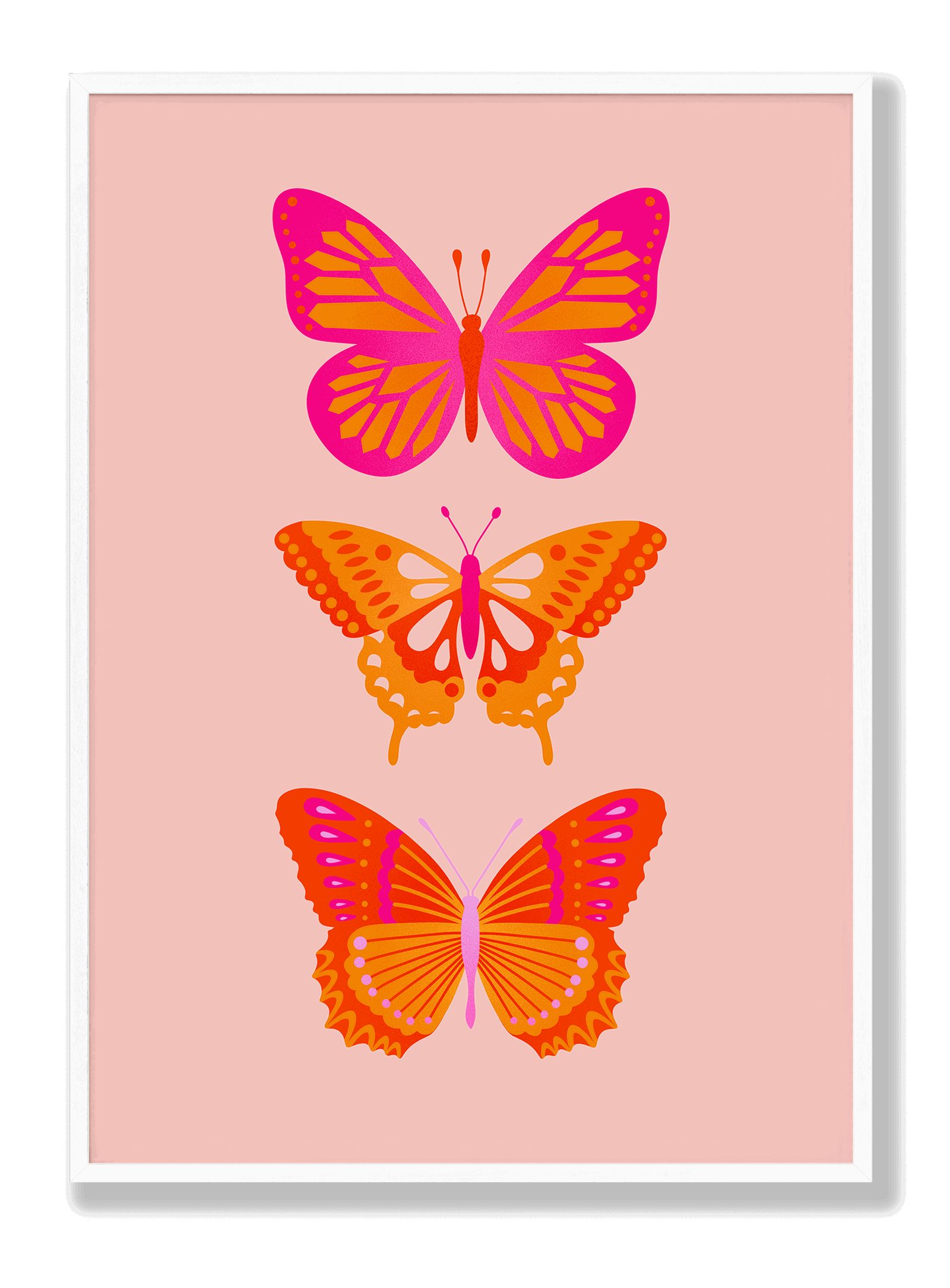 Butterflies plakat