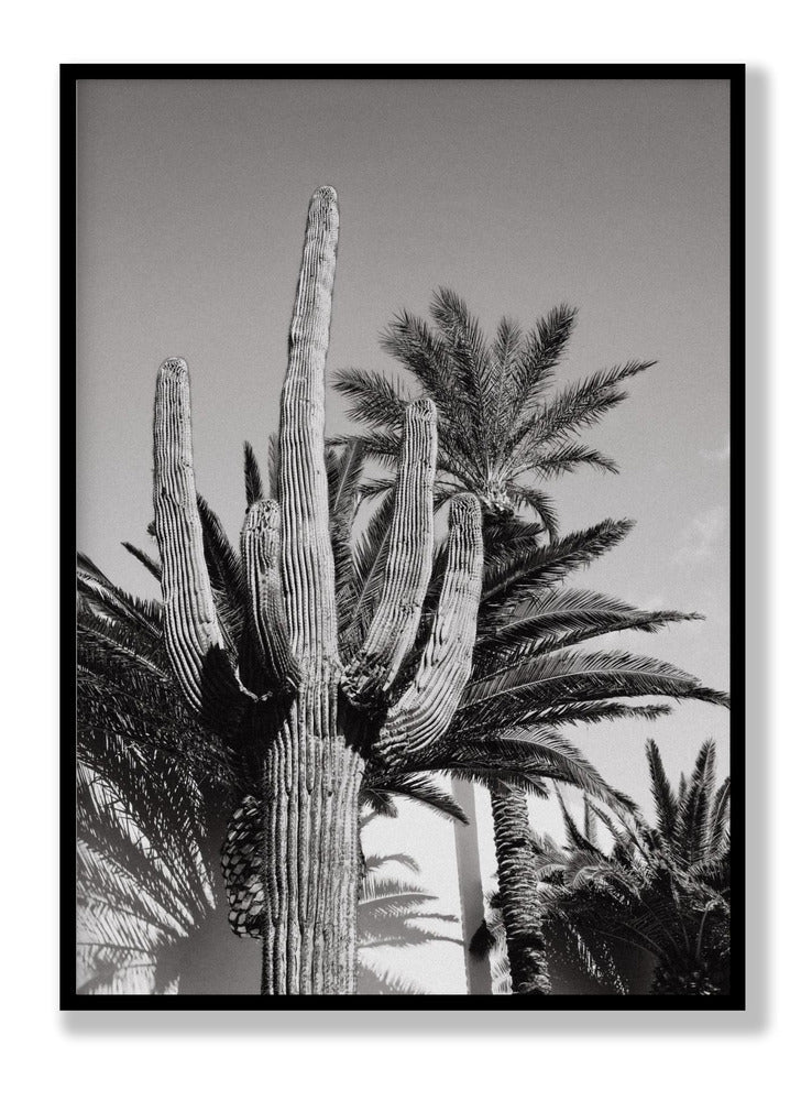 Cactus Bw Las Vegas plakat