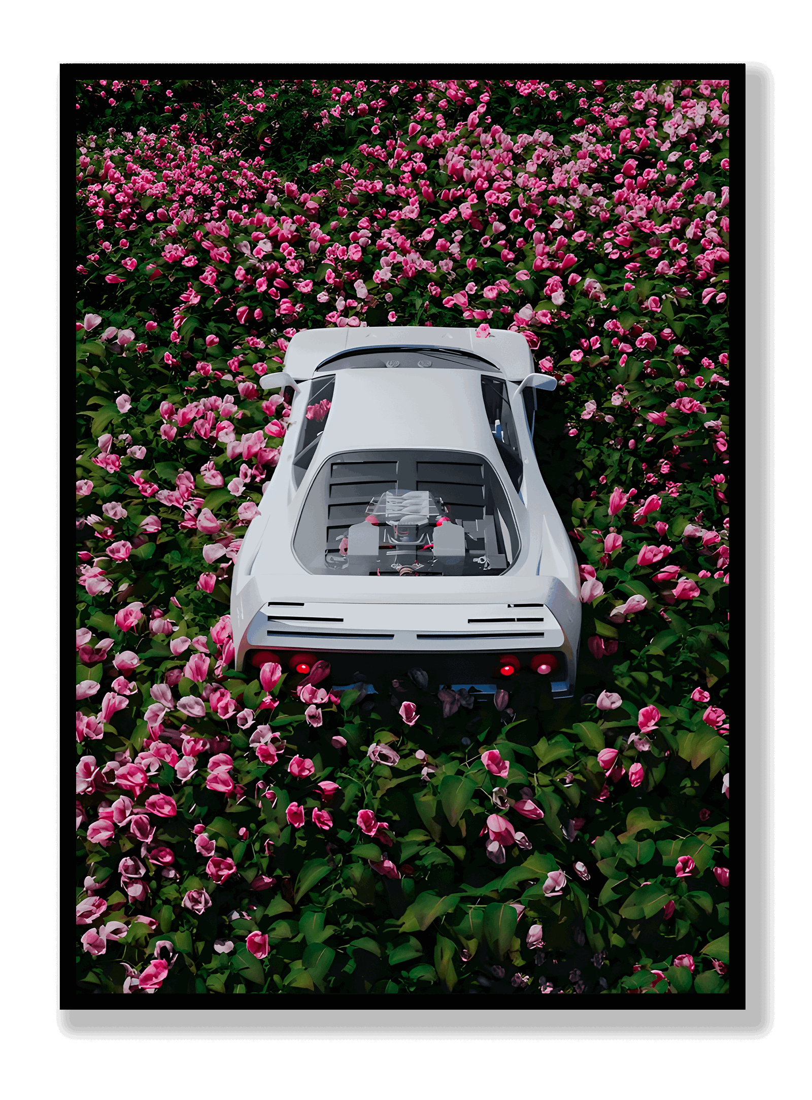 Ferrari x Roses plakat