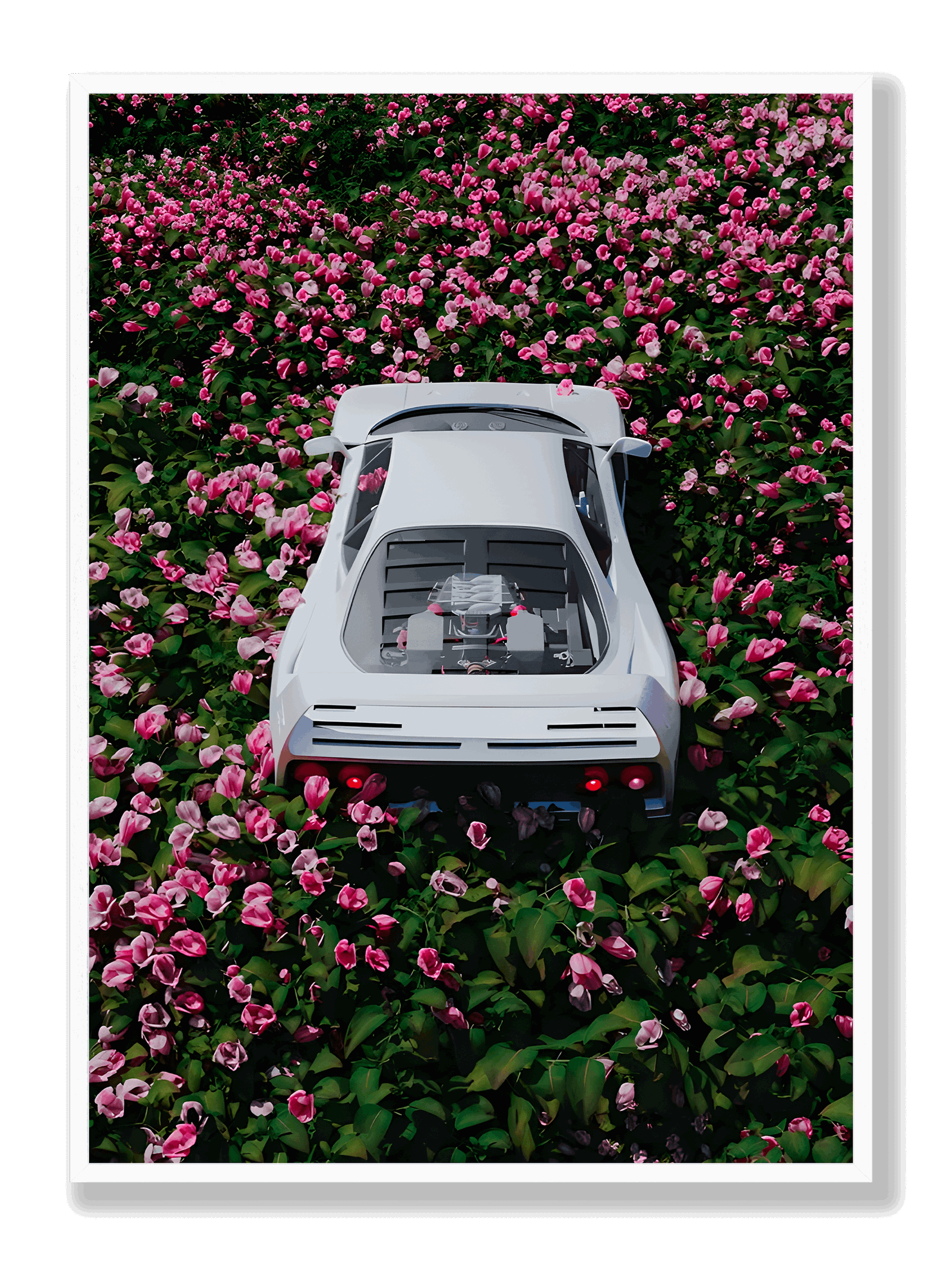 Ferrari x Roses plakat