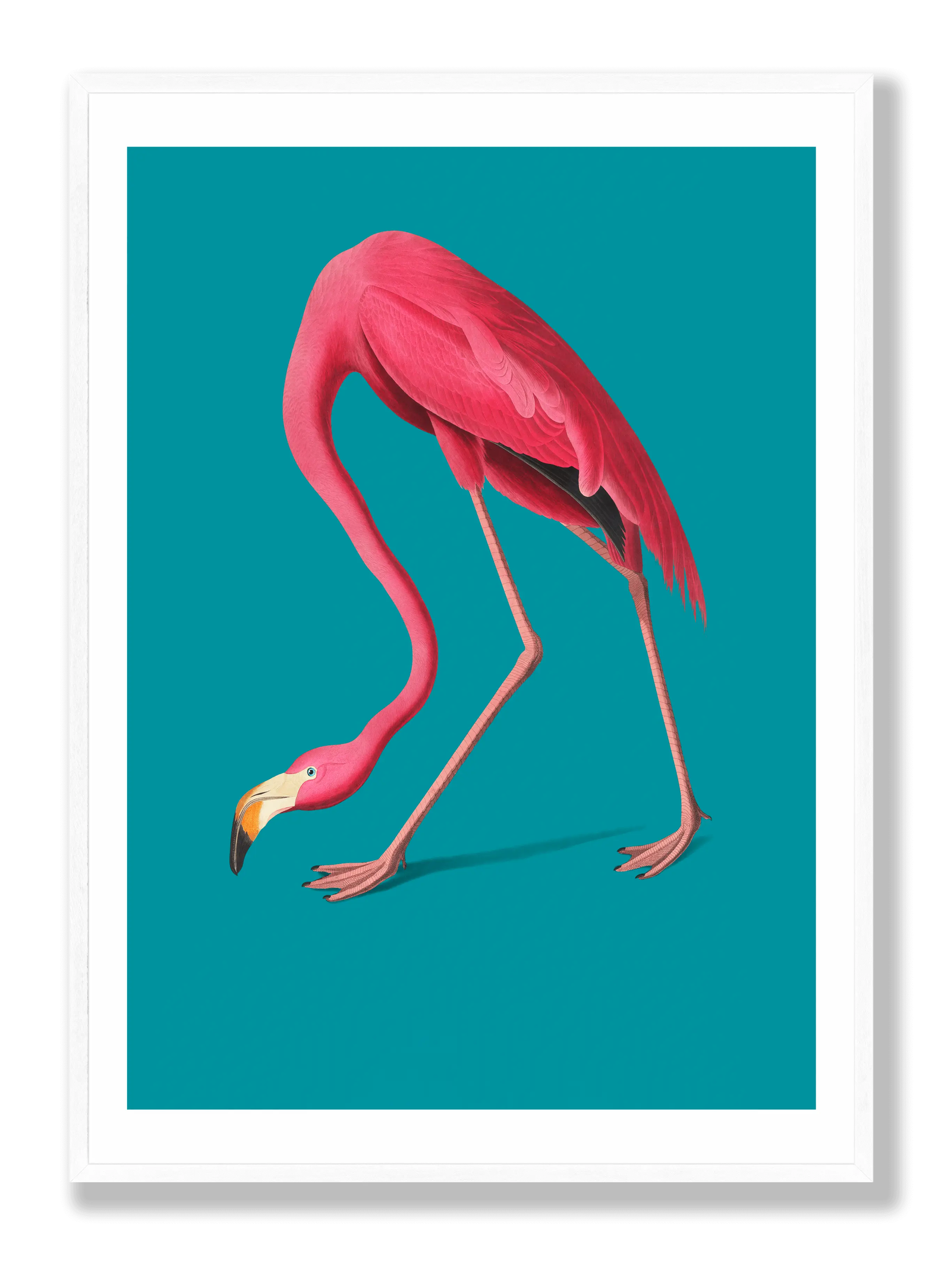 Flamingo plakat