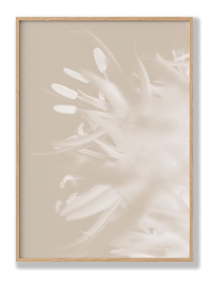 Flower Beige 1 plakat