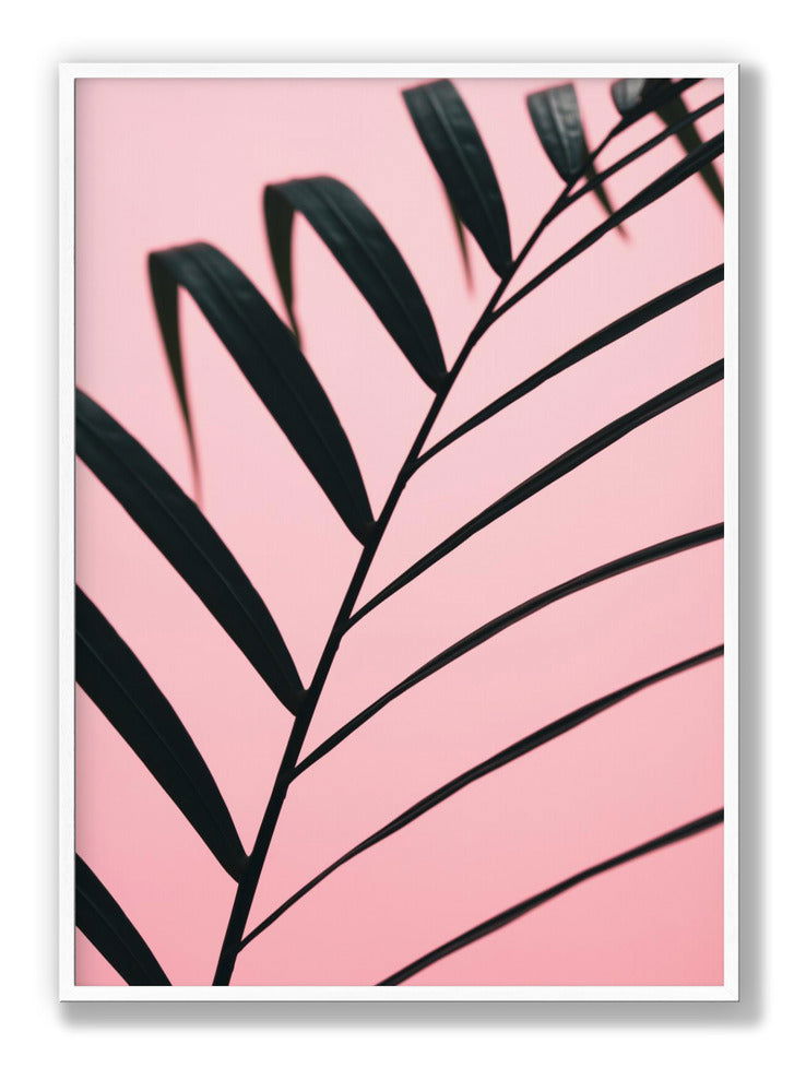 Graphic palm leaf 2 plakat