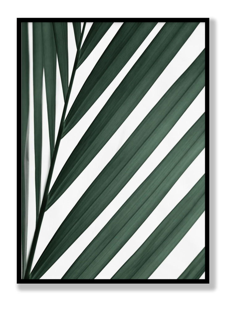 Graphic palm leaf 3 plakat