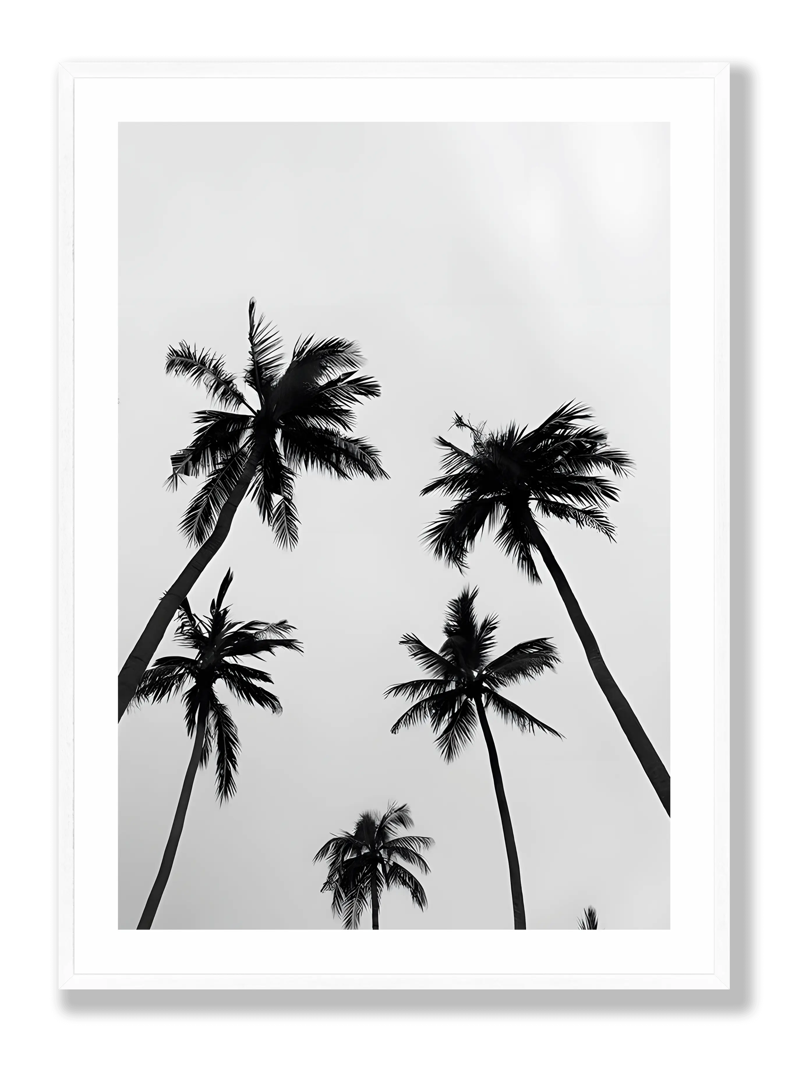 Palm Trees Plakat