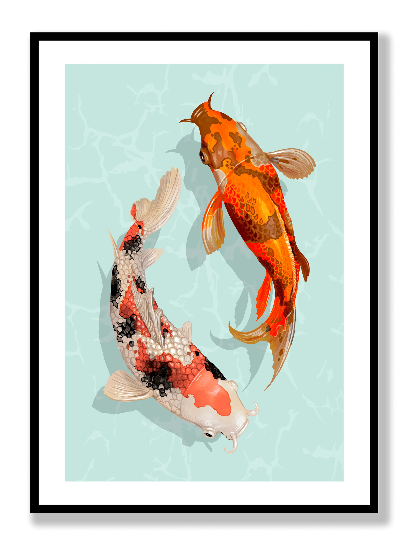 Koi plakat