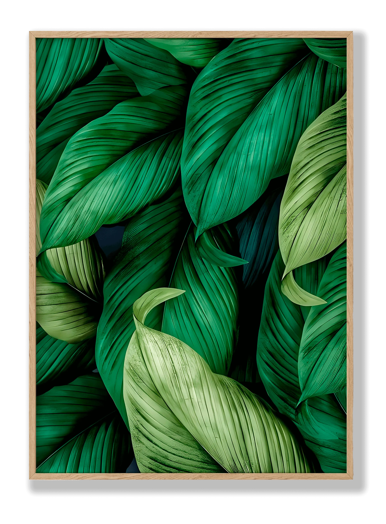 Leaves plakat