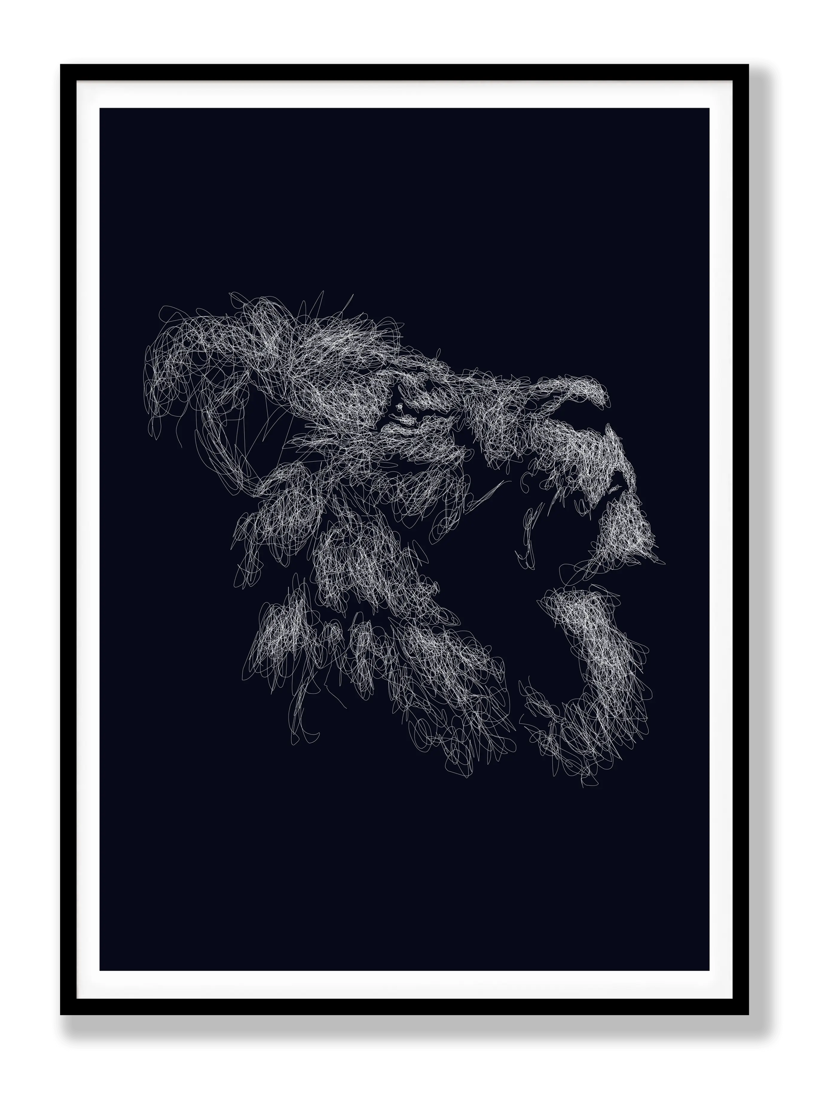 Lion Drawing plakat