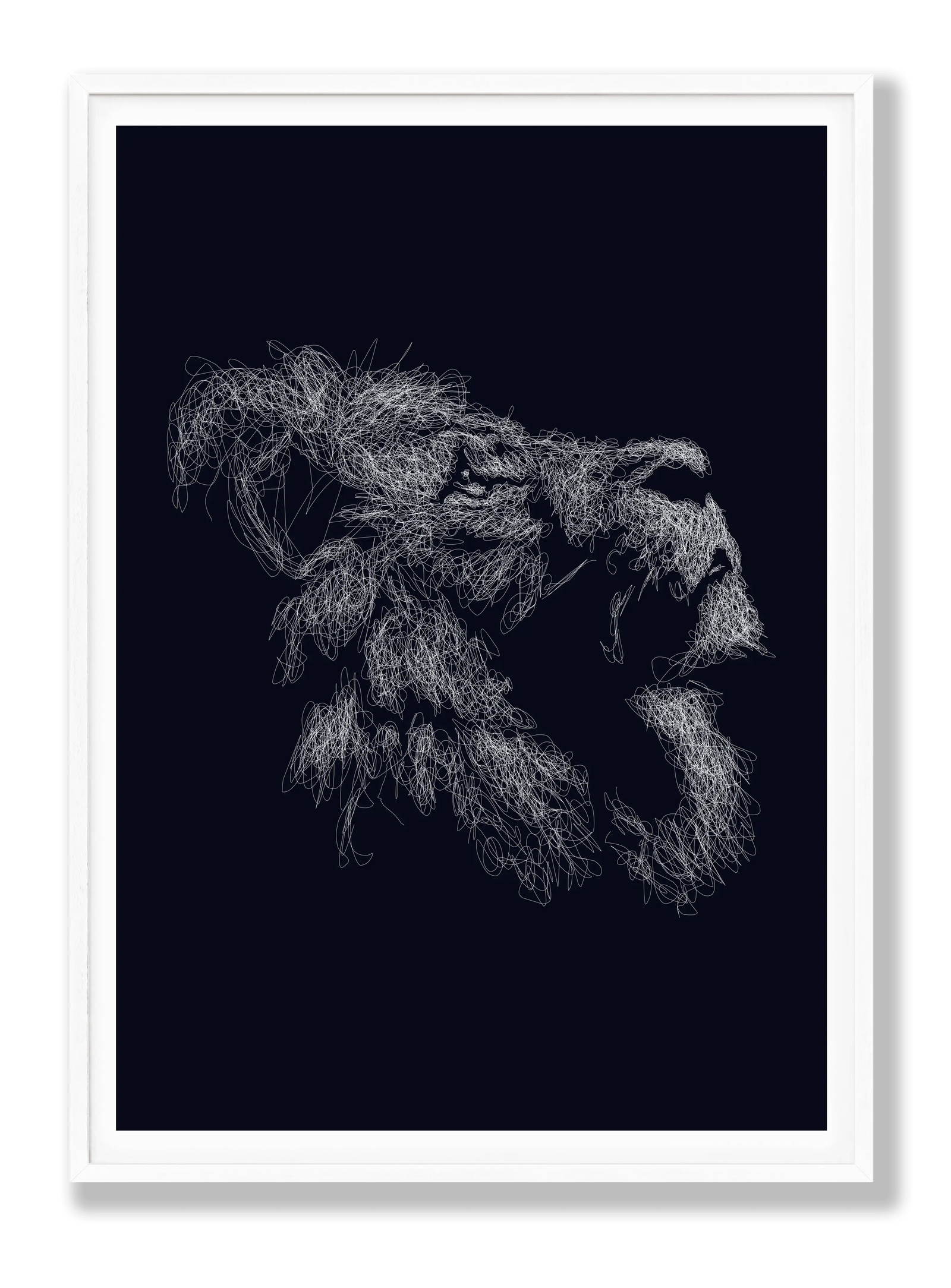 Lion Drawing plakat