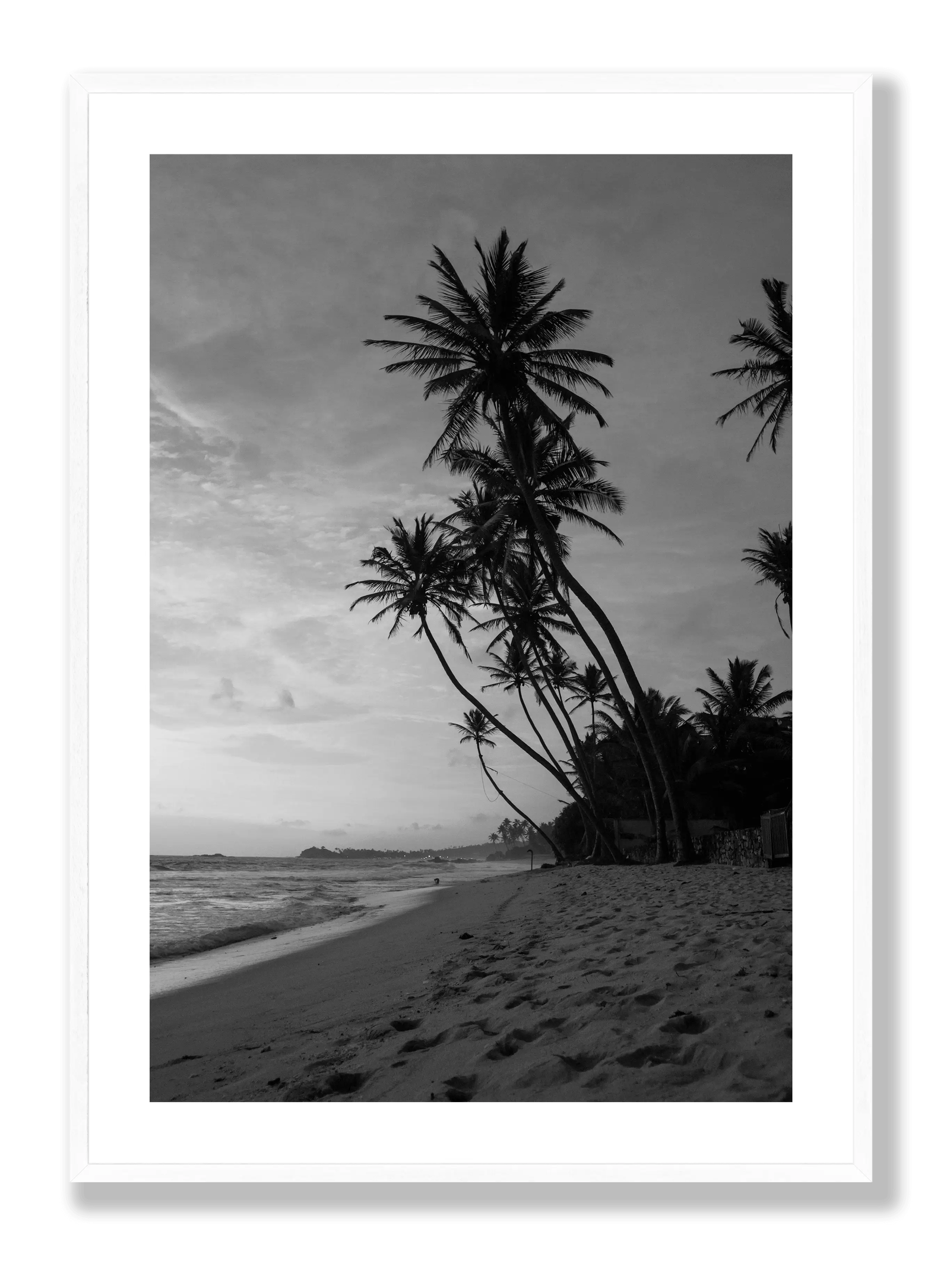 Palm Trees at Beach plakat