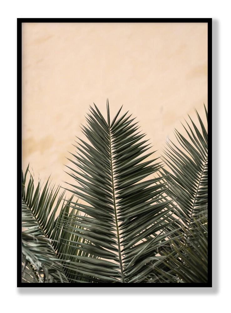 Palm leaves and wall 1 plakat