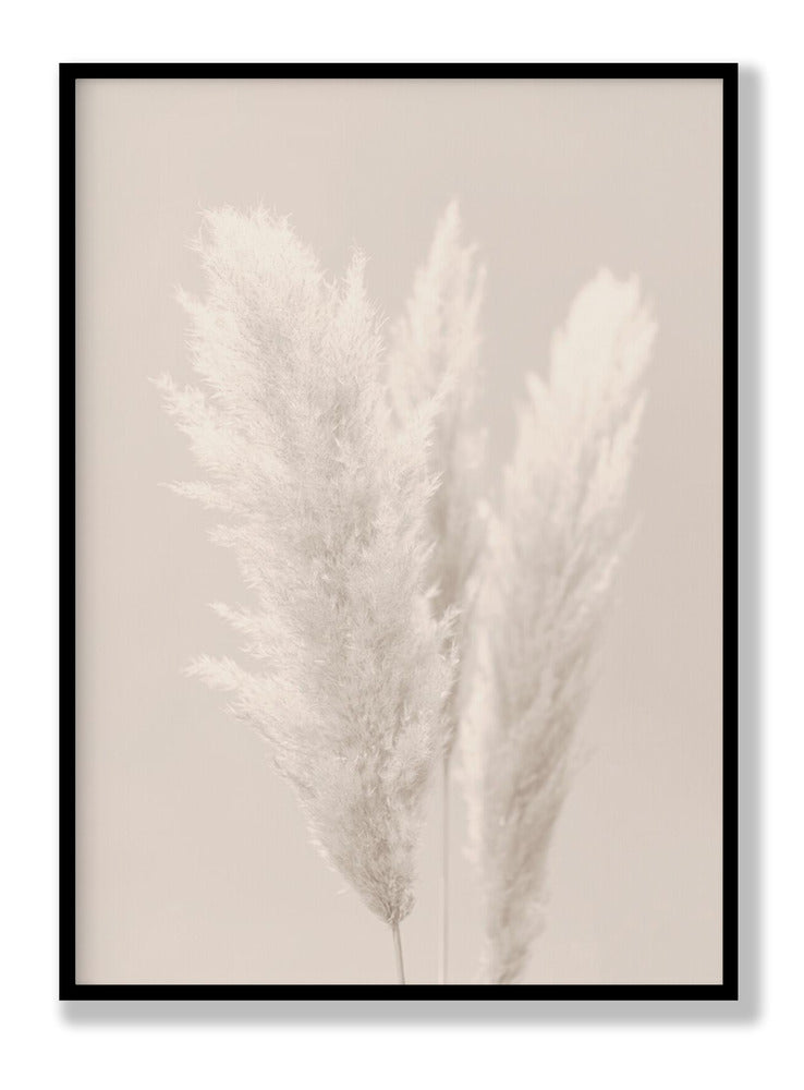 Pampas Grass 2 plakat