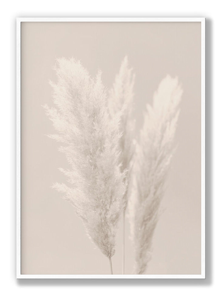 Pampas Grass 2 plakat