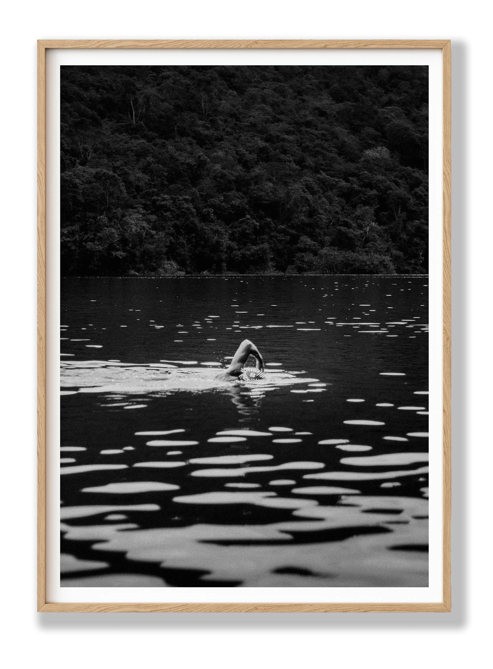 Swimming In The Wild plakat