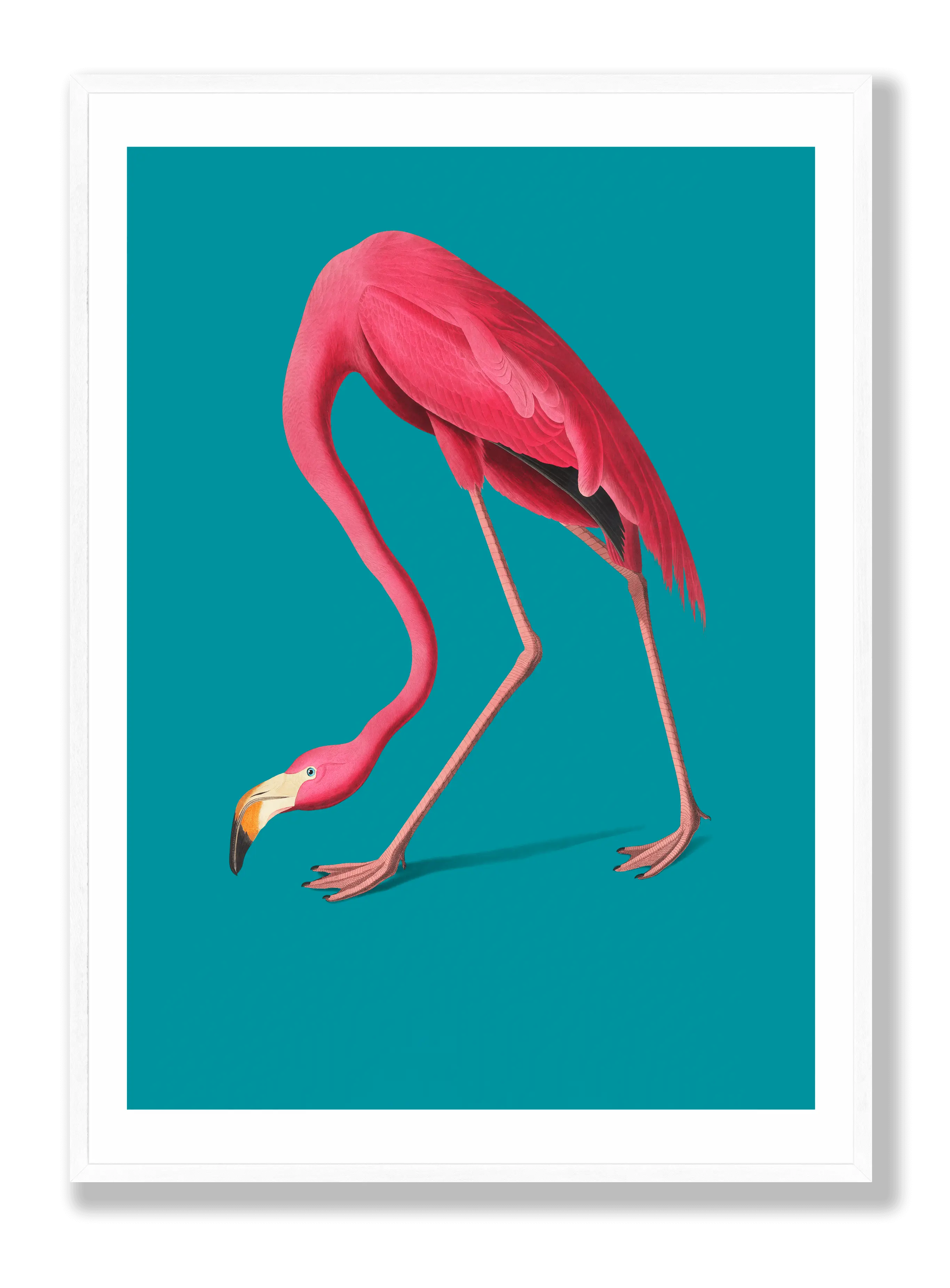 Flamingo Plakat