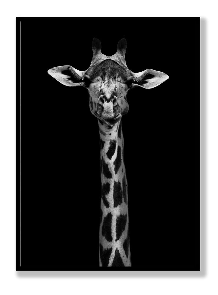 Giraffe Portrait