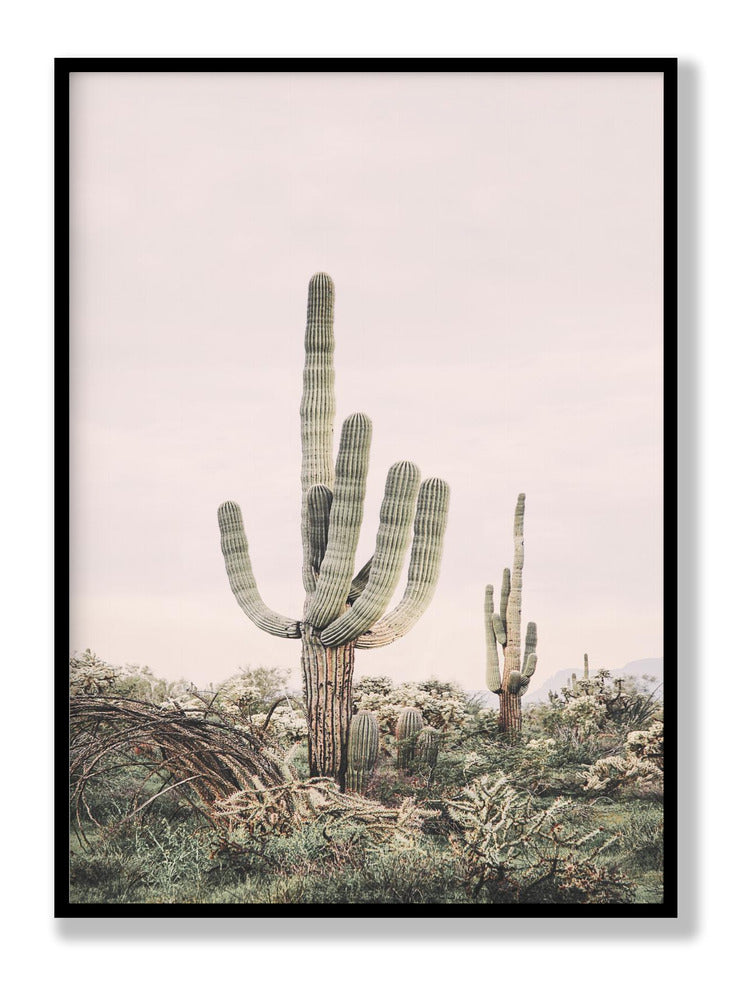 Pink Saguaro