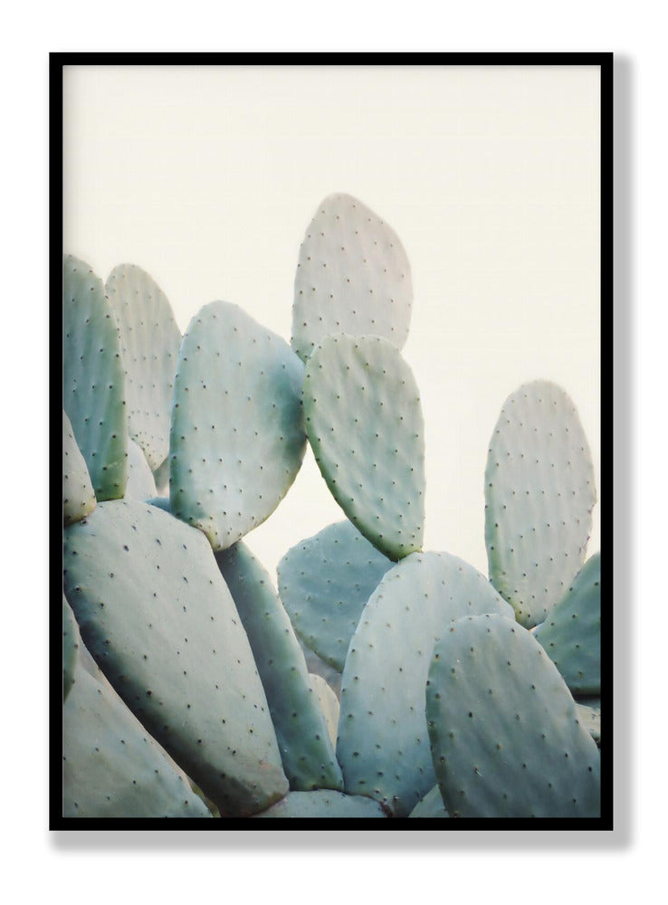 Pastel Cacti