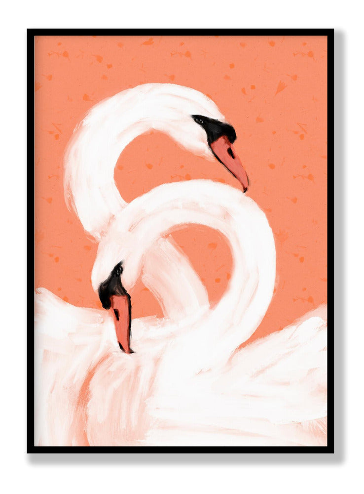 Swans