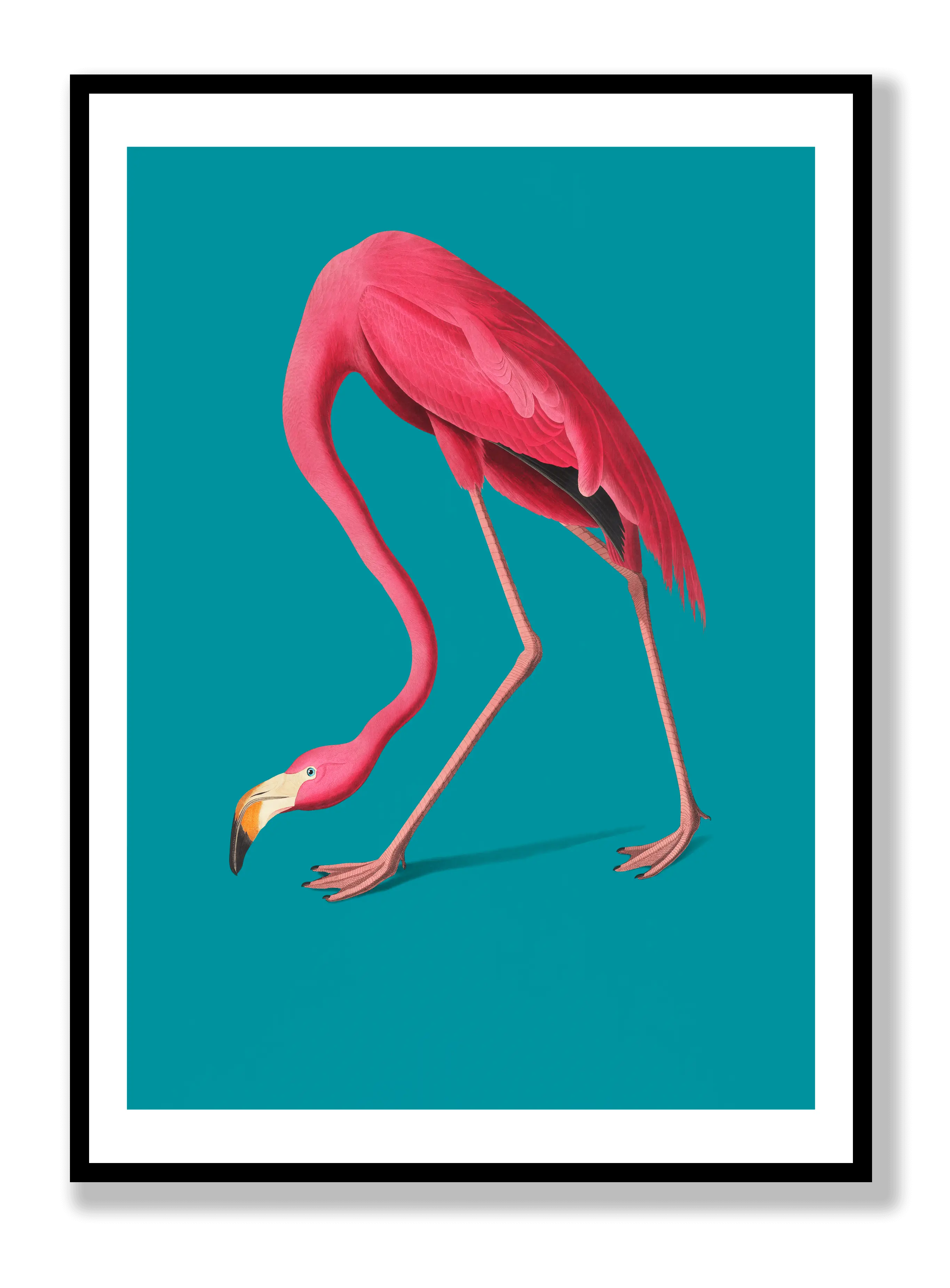 Flamingo Plakat